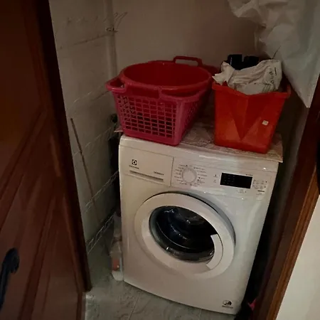 Les Oiseaux De Porticcio