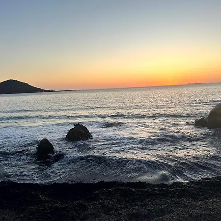 Les Oiseaux De Porticcio *