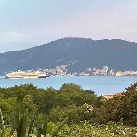 Les Oiseaux De Porticcio *