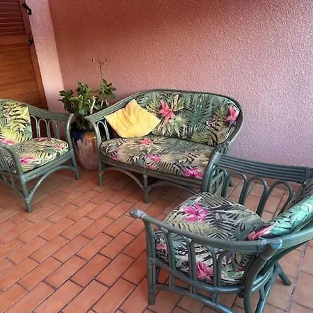 Les Oiseaux De Porticcio