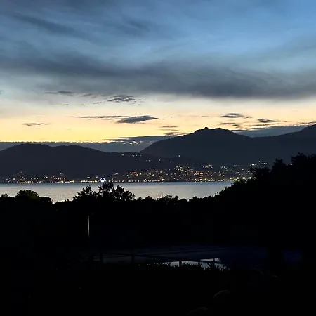 Les Oiseaux De Porticcio *