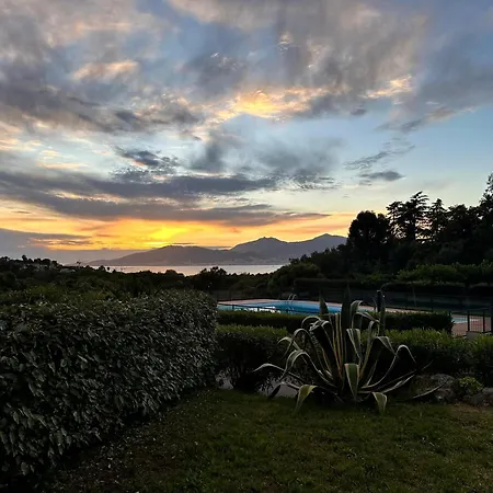 Les Oiseaux De Porticcio *