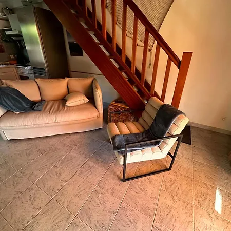 Les Oiseaux De Porticcio *