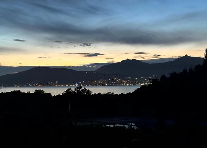 Les Oiseaux De Porticcio *