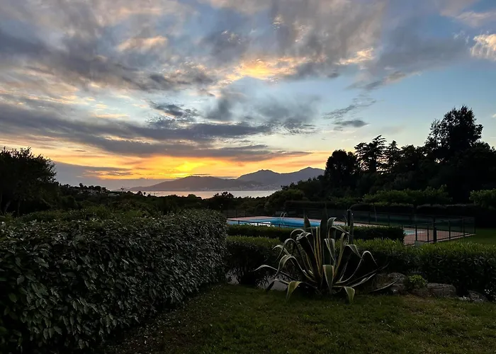 Les Oiseaux De Porticcio *