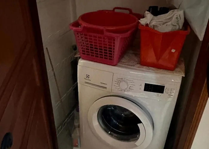 Les Oiseaux De Porticcio