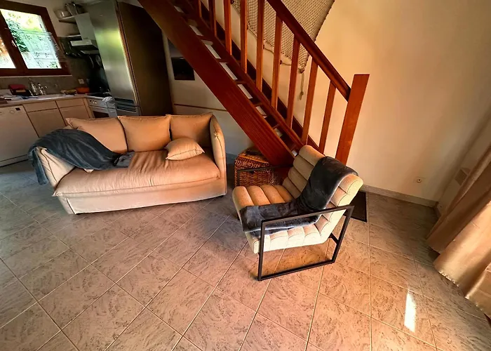 Les Oiseaux De Porticcio *