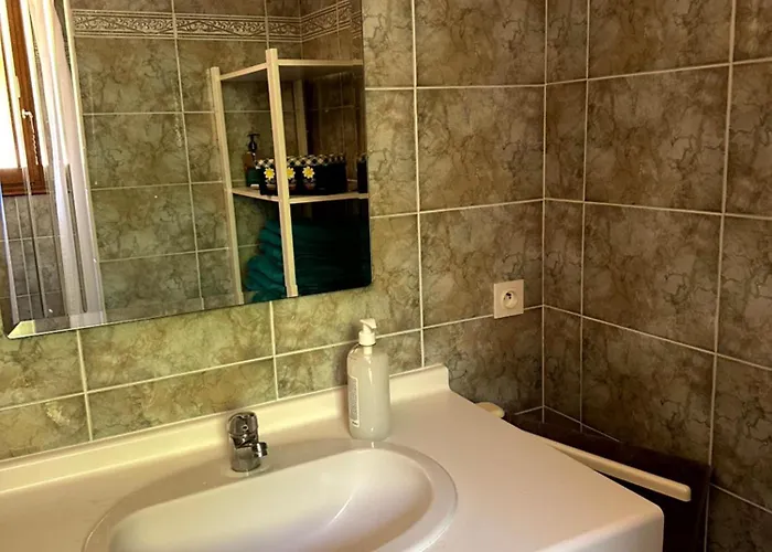 Les Oiseaux De Porticcio *