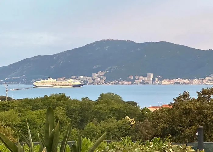 Les Oiseaux De Porticcio *