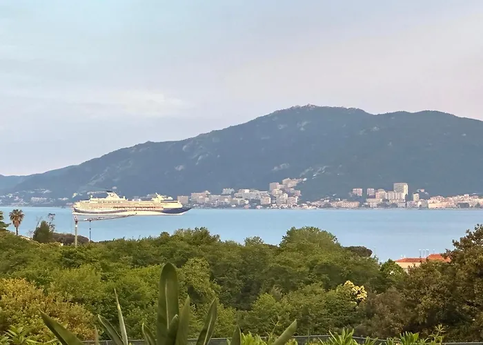 Les Oiseaux De Porticcio *