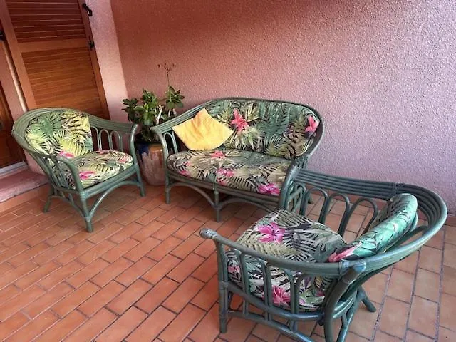 Les Oiseaux De Porticcio